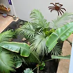וילה Casa Tegue Nazaret