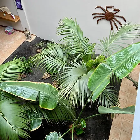 Villa Casa Tegue Nazaret