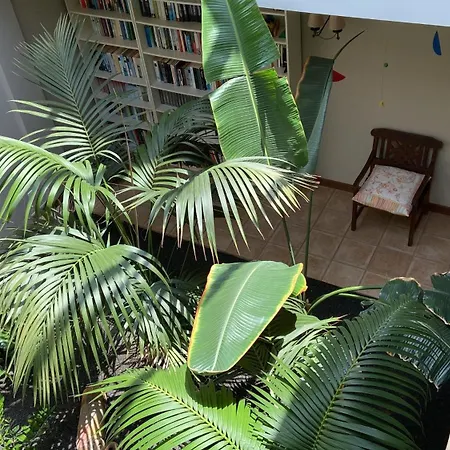 Casa Tegue וילה *